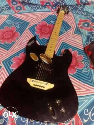 2 months old guitar. Original price  with