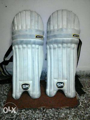 4 month old cricket pad of sm company.interested
