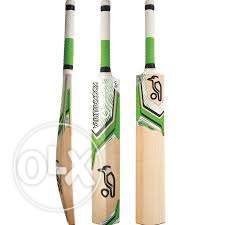 Kashmir willow Kookaburra cricket bat at