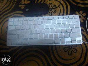 Silver Apple wired keyboard and mouse.