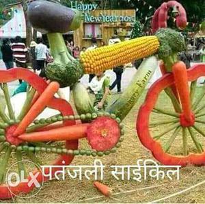 Bicycle Made Of Vegetables