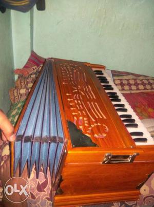 Brown Accordion