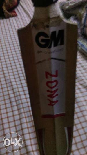 G M bat hardly 6 months used