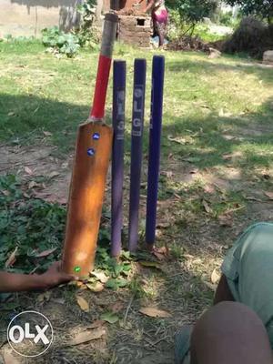 Only bat- 800 only 3 wicket - 100