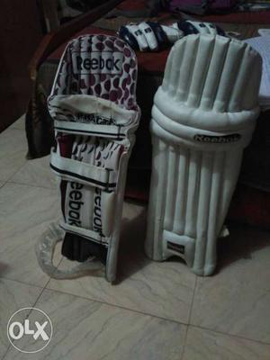 Pair Of White Cricket Pads
