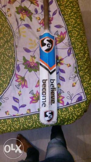 SG cricket bat (kashmir willow)