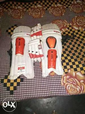 White And Red Cricket Shin Guard And Gloves