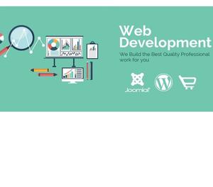 Hire Good Web DesignDevelopment & SEO Noida