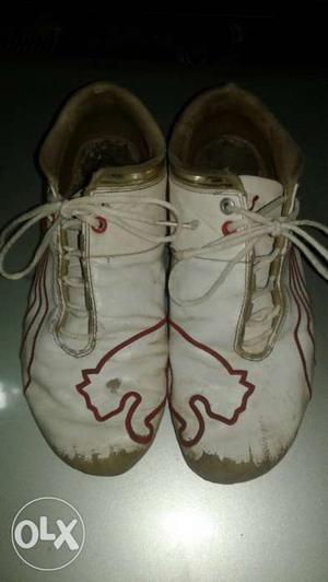 Original puma shoes in good condition 2 month