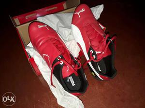 Red-and-black Puma Low Top Sneakers In Box