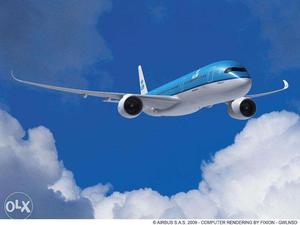 Freshers required in Airlines. Immediate opening. limited