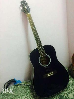Acoustic guitar company- DZIRE cost price-