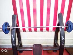 Bench Press, leg extension, parallel bar and lat pull down