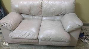 Gray Leather 2-seat Couch