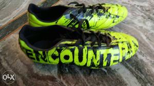 One month old Pair Of Green-and-black encounter Soccer