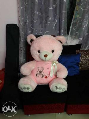 Pink coloured Teddy