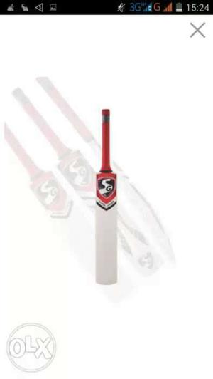 SG English Willow cricket bat