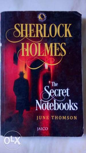 Sherlock Holmes- the secret notebook...one month