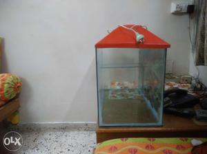 Aquarium and filter