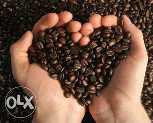 Coffee Beans Roasted arabic Organic
