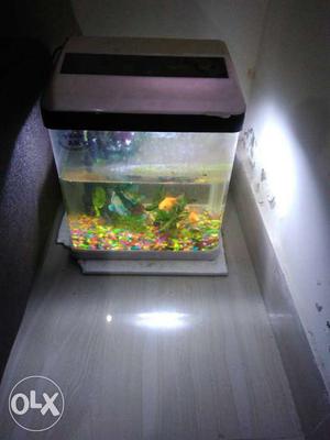 Fully equipped fish tank for sale