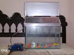 House Shaped Fish Tank Set
