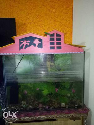 Pink Framed Fish Tank