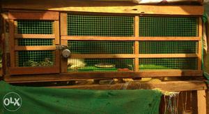 Rabbit cage, also suitable for birds