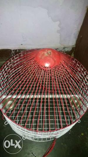 Red And White Metal Bird Cage 10 day old