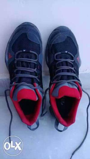 Adidas Tracking Shoes