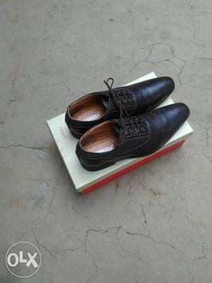 Black Leather Dress Shoes On Box