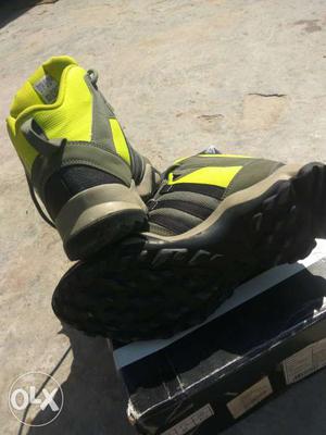Yellow-and-black Athletic Shoes On Box