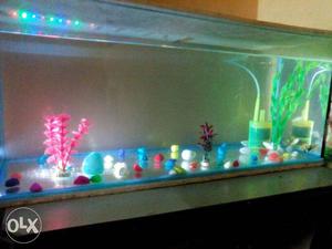 3 Feet Fish Tank along with 9 Molly Fish