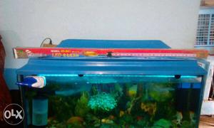 3 fit fish aquarium for Sale with fish & all