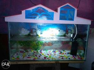 3*2 feet aquarium