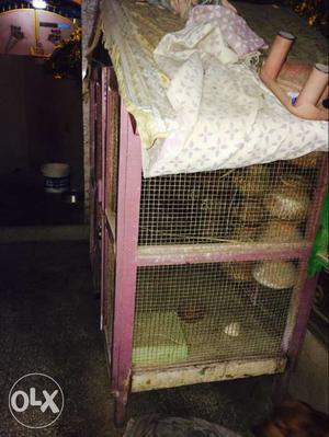 5ft*5ft bird cage made of quality wood wit 20
