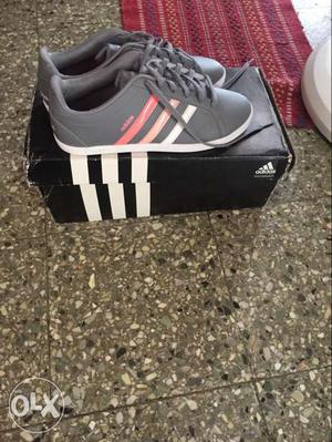 ADIDAS SHOE, size uk 6.. never wore once as the