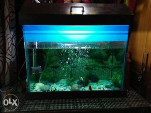 Aquarium in working condition with all accesories