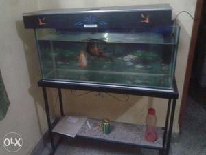 Aquarium with fishes and all its accessories