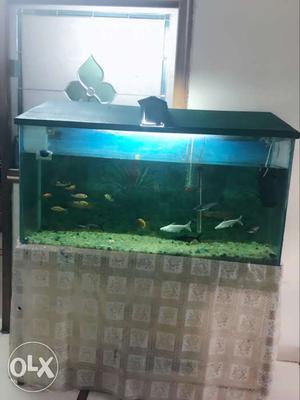 Aquarum,with fishes.4feet lenght,2feet breath