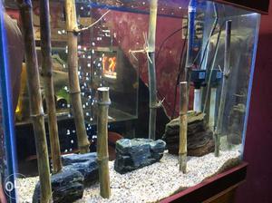 Bamboo placed fish tank for sale.. price slightly