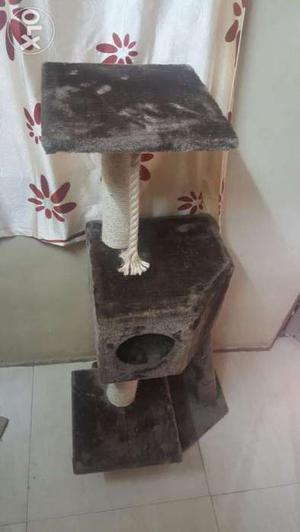 Cat tree brand new pixie company for kittens & cats.