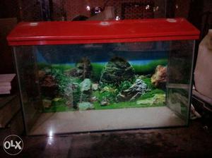 Clear fish tank with red aclyric upper cover...
