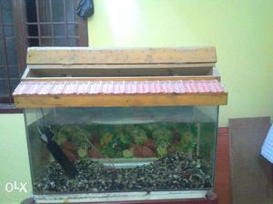 Fish Tank for Sale(Price Negotiable)