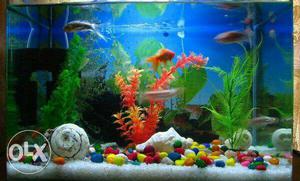 Fish aquarium with white stand