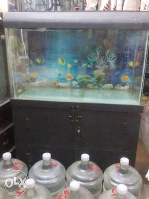 Fish tank with stand and top.