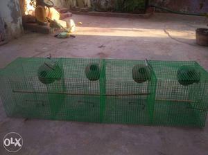 Green Bird Crate