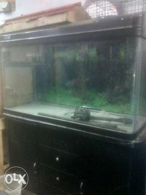Import fish tank for sale urgent