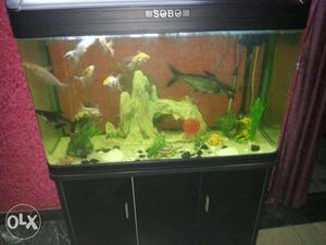 Imported SOBO aquarium only 3 MONTHS old! with
