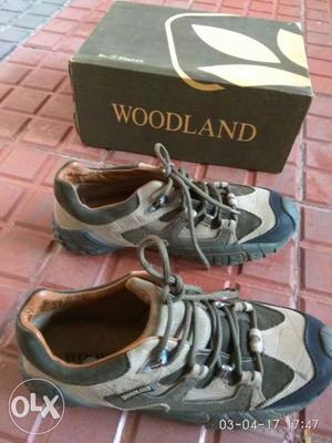 Its new woodland shoe size 42(8)with bill and box available